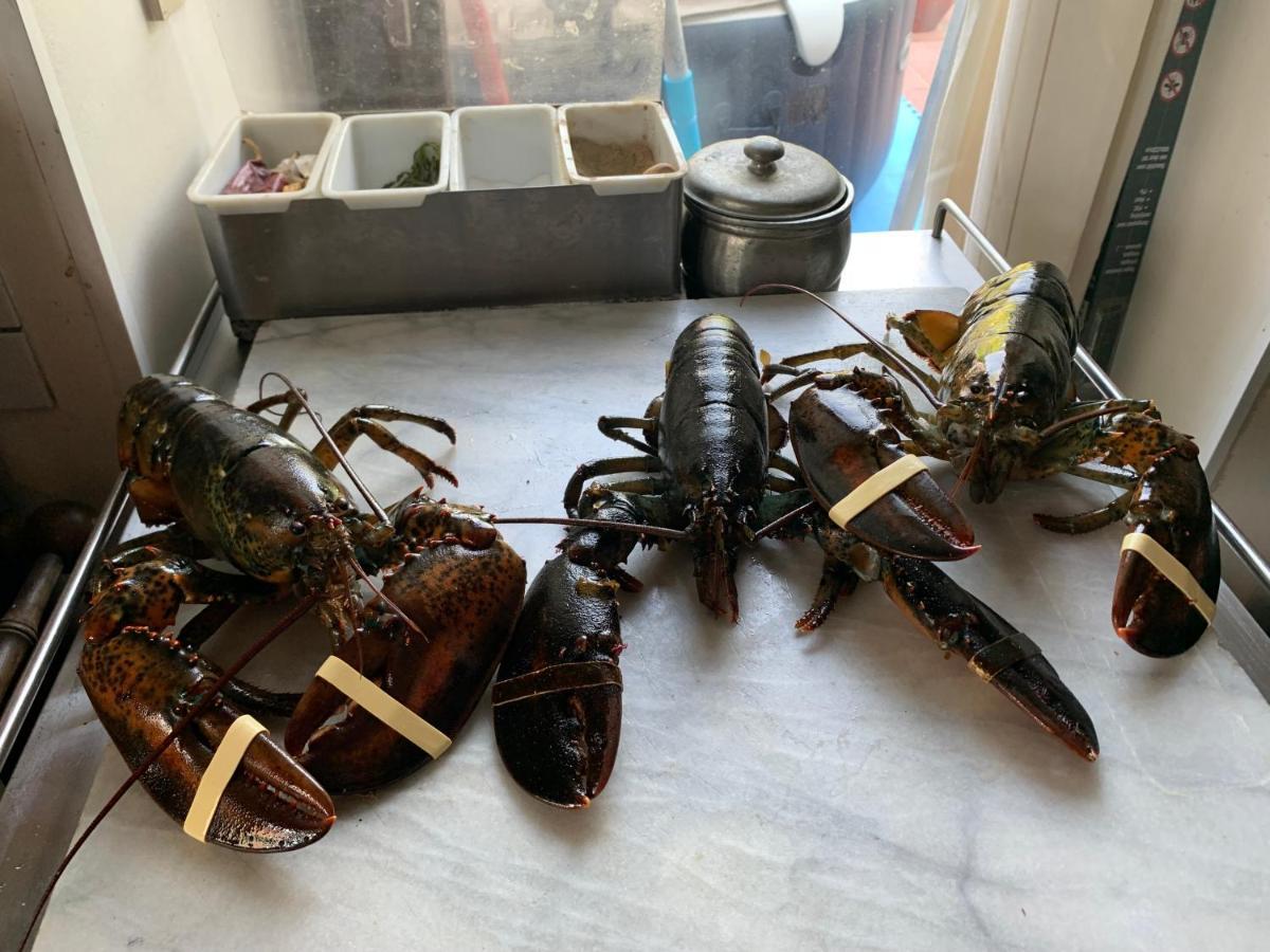 Maison D'Hotes Entre Amis Silly 외부 사진